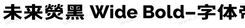 未来熒黑 Wide Bold字体转换